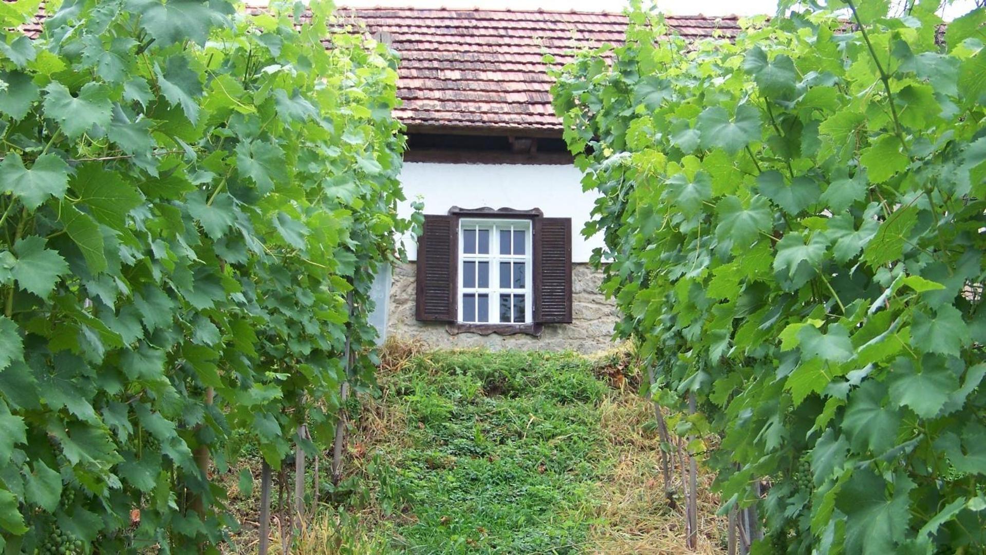 Apartment Liendl Riegersburg Exterior photo