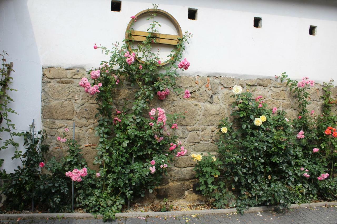 Apartment Liendl Riegersburg Exterior photo